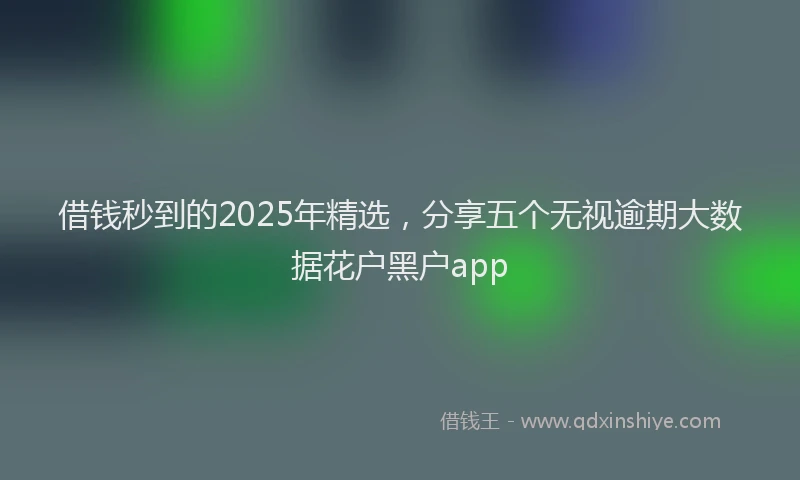 借钱秒到的2025年精选，分享五个无视逾期大数据花户黑户app