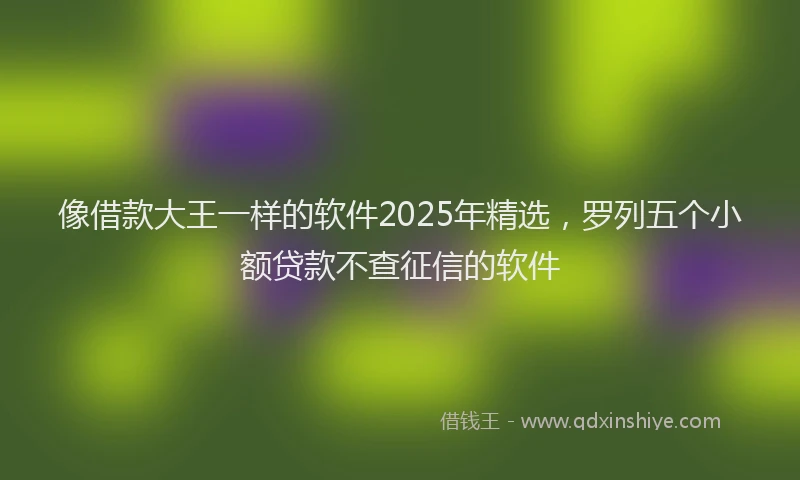 像借款大王一样的软件2025年精选，罗列五个小额贷款不查征信的软件