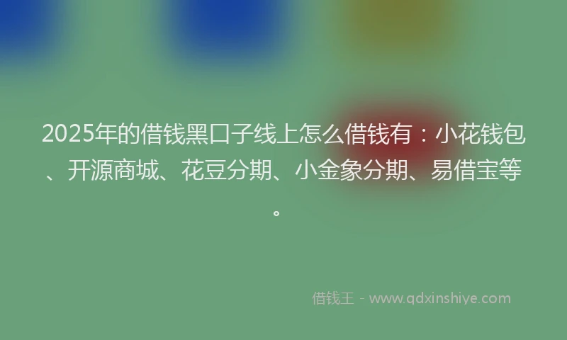 2025年的借钱黑口子线上怎么借钱有：小花钱包、开源商城、花豆分期、小金象分期、易借宝等。