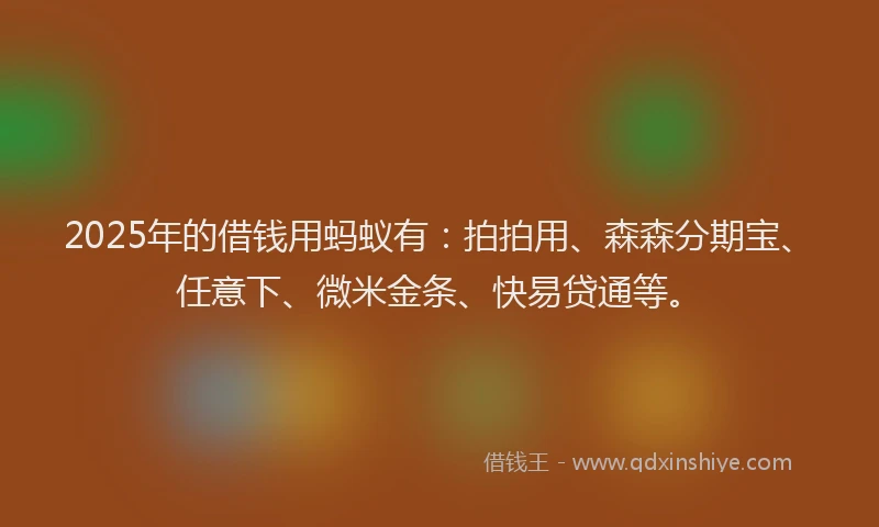 2025年的借钱用蚂蚁有：拍拍用、森森分期宝、任意下、微米金条、快易贷通等。