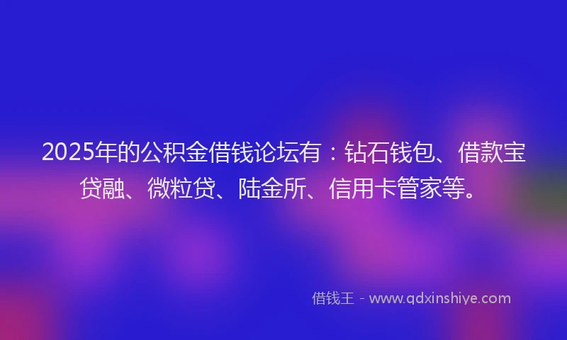 2025年的公积金借钱论坛有：钻石钱包、借款宝贷融、微粒贷、陆金所、信用卡管家等。