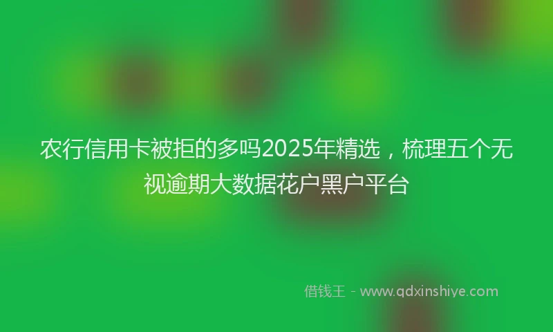 农行信用卡被拒的多吗2025年精选，梳理五个无视逾期大数据花户黑户平台