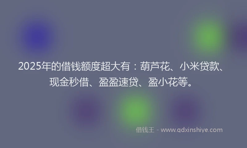 2025年的借钱额度超大有：葫芦花、小米贷款、现金秒借、盈盈速贷、盈小花等。