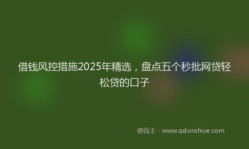 借钱风控措施2025年精选，盘点五个秒批网贷轻松贷的口子