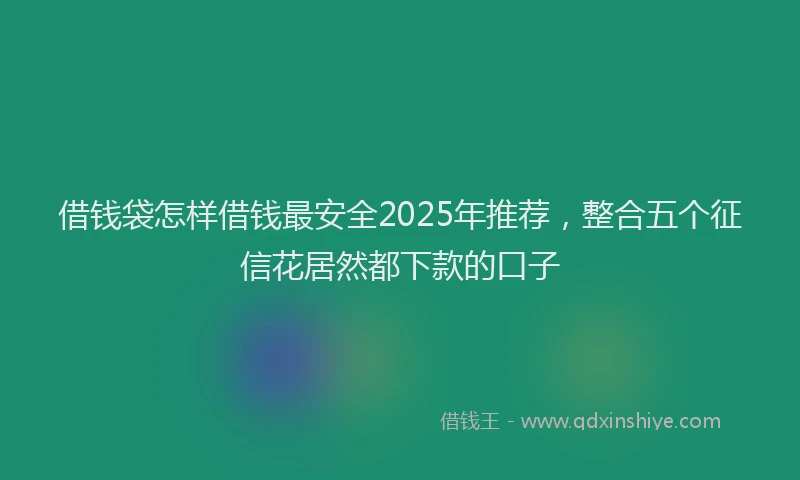 借钱袋怎样借钱最安全2025年推荐，整合五个征信花居然都下款的口子