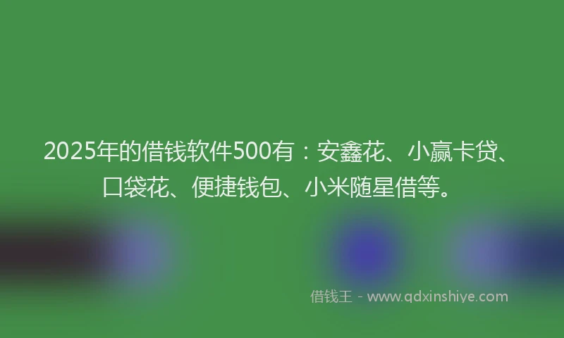 2025年的借钱软件500有：安鑫花、小赢卡贷、口袋花、便捷钱包、小米随星借等。