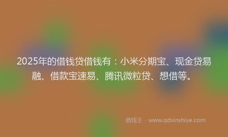 2025年的借钱贷借钱有：小米分期宝、现金贷易融、借款宝速易、腾讯微粒贷、想借等。