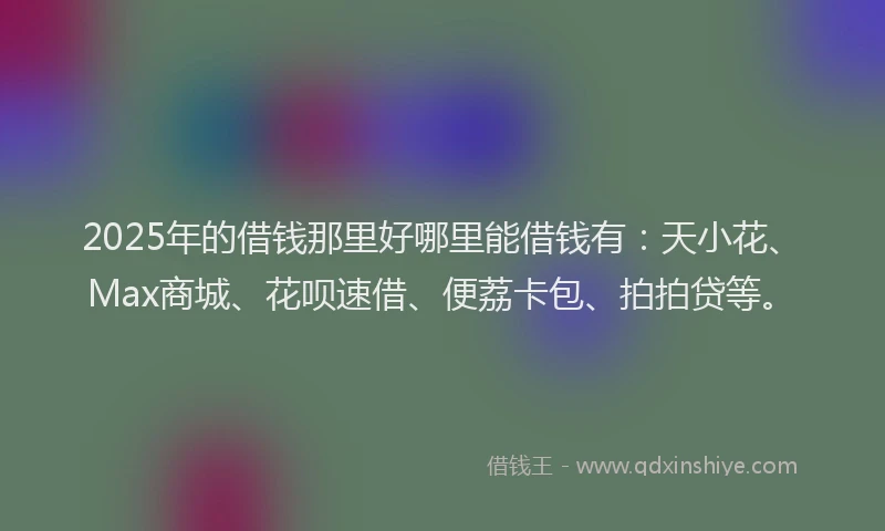 2025年的借钱那里好哪里能借钱有：天小花、Max商城、花呗速借、便荔卡包、拍拍贷等。