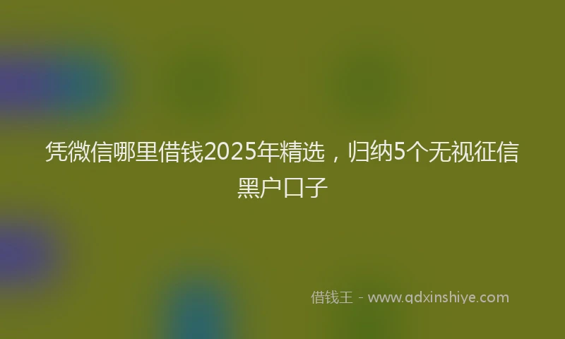 凭微信哪里借钱2025年精选，归纳5个无视征信黑户口子