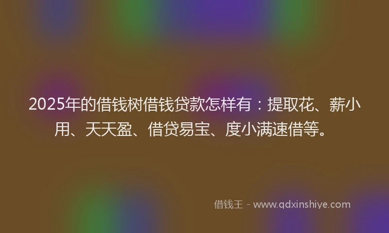 2025年的借钱树借钱贷款怎样有：提取花、薪小用、天天盈、借贷易宝、度小满速借等。