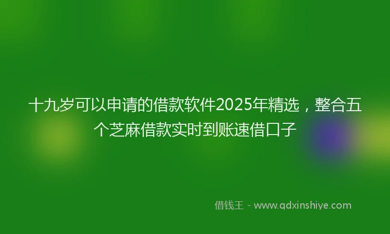 十九岁可以申请的借款软件2025年精选，整合五个芝麻借款实时到账速借口子