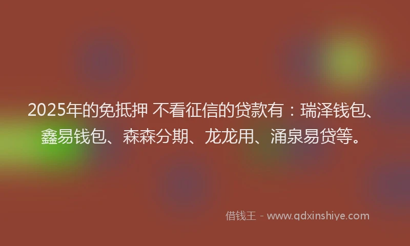 2025年的免抵押 不看征信的贷款有：瑞泽钱包、鑫易钱包、森森分期、龙龙用、涌泉易贷等。