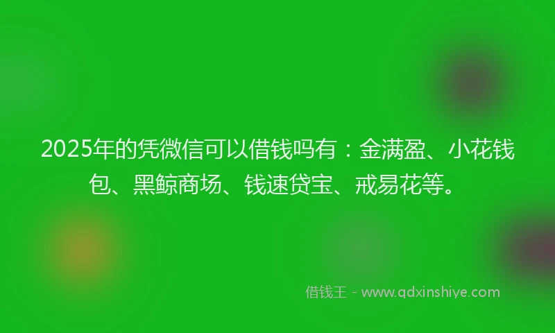 2025年的凭微信可以借钱吗有：金满盈、小花钱包、黑鲸商场、钱速贷宝、戒易花等。