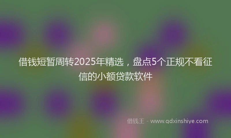 借钱短暂周转2025年精选，盘点5个正规不看征信的小额贷款软件