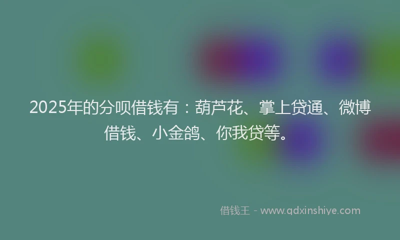 2025年的分呗借钱有：葫芦花、掌上贷通、微博借钱、小金鸽、你我贷等。
