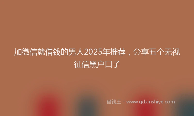 加微信就借钱的男人2025年推荐，分享五个无视征信黑户口子