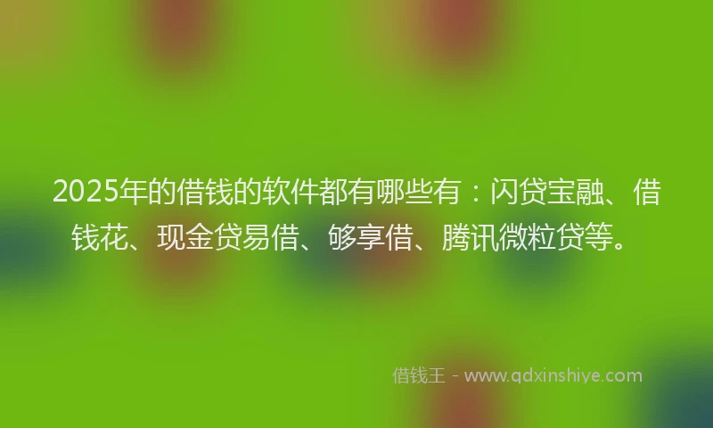 2025年的借钱的软件都有哪些有：闪贷宝融、借钱花、现金贷易借、够享借、腾讯微粒贷等。