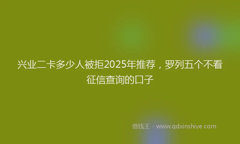 兴业二卡多少人被拒2025年推荐，罗列五个不看征信查询的口子