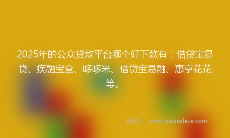 2025年的公众贷款平台哪个好下款有：借贷宝易贷、疾融宝盒、哆哆米、借贷宝易融、惠享花花等。