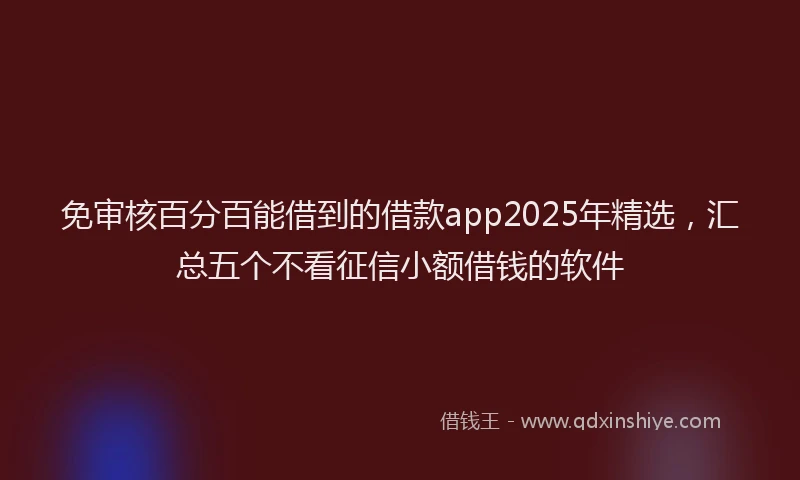 免审核百分百能借到的借款app2025年精选，汇总五个不看征信小额借钱的软件