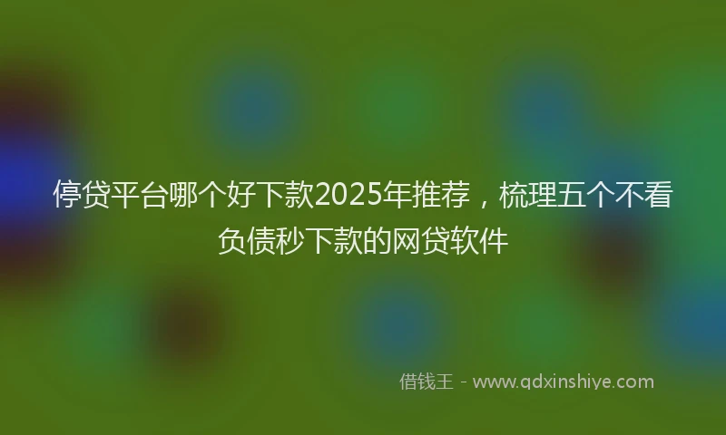 停贷平台哪个好下款2025年推荐，梳理五个不看负债秒下款的网贷软件