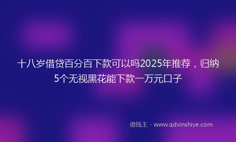 十八岁借贷百分百下款可以吗2025年推荐，归纳5个无视黑花能下款一万元口子