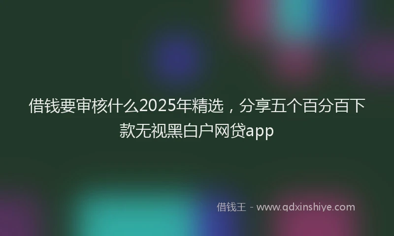 借钱要审核什么2025年精选，分享五个百分百下款无视黑白户网贷app