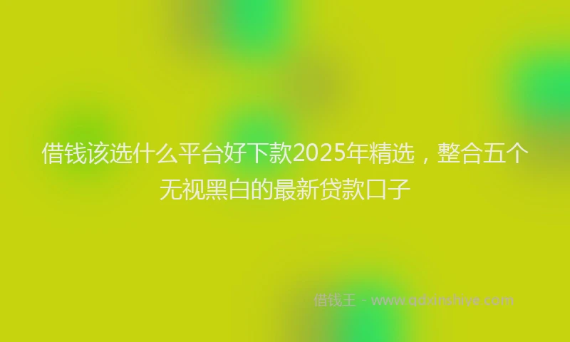 借钱该选什么平台好下款2025年精选，整合五个无视黑白的最新贷款口子