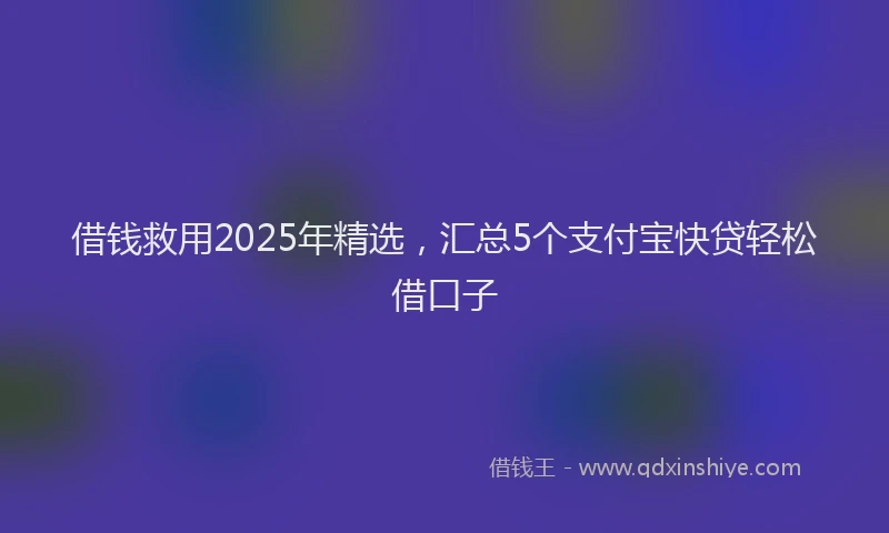 借钱救用2025年精选，汇总5个支付宝快贷轻松借口子