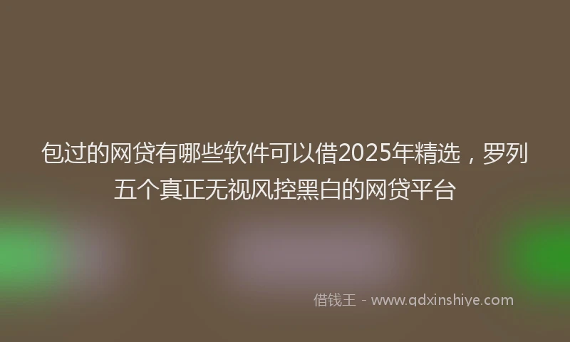 包过的网贷有哪些软件可以借2025年精选，罗列五个真正无视风控黑白的网贷平台