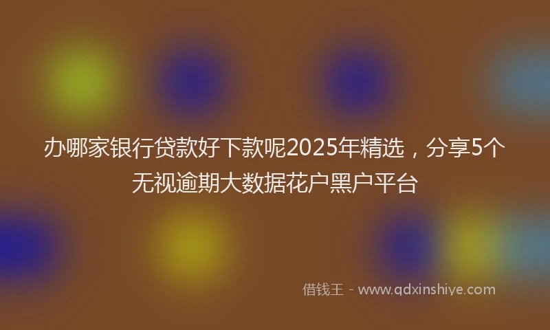 办哪家银行贷款好下款呢2025年精选，分享5个无视逾期大数据花户黑户平台