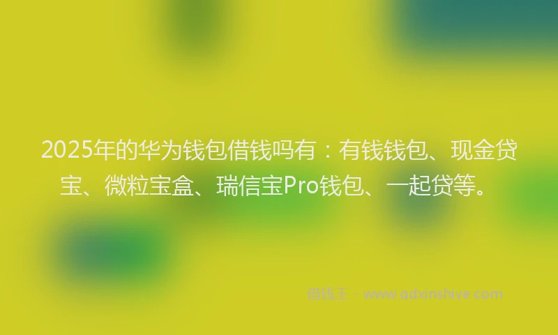 2025年的华为钱包借钱吗有：有钱钱包、现金贷宝、微粒宝盒、瑞信宝Pro钱包、一起贷等。