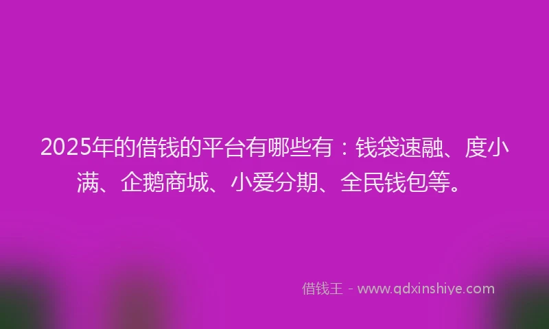 2025年的借钱的平台有哪些有：钱袋速融、度小满、企鹅商城、小爱分期、全民钱包等。