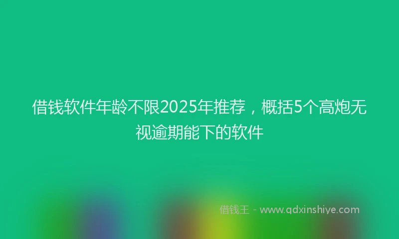 借钱软件年龄不限2025年推荐，概括5个高炮无视逾期能下的软件
