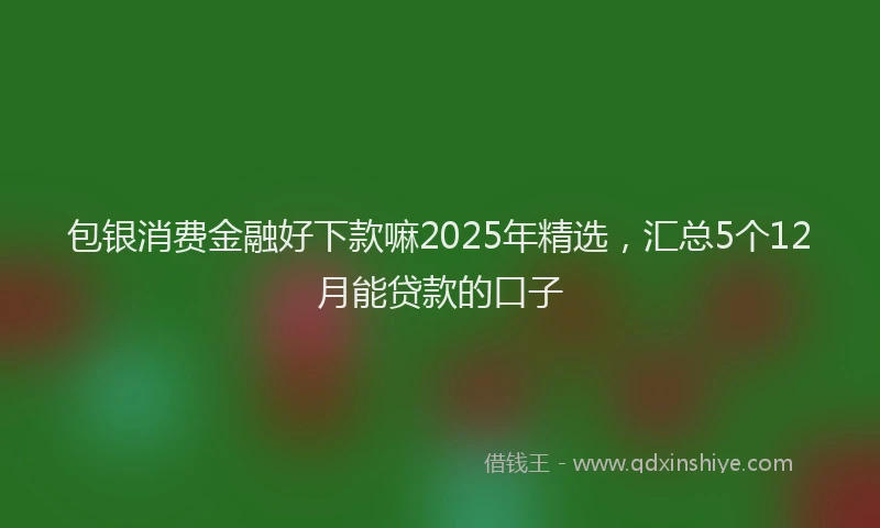 包银消费金融好下款嘛2025年精选，汇总5个12月能贷款的口子
