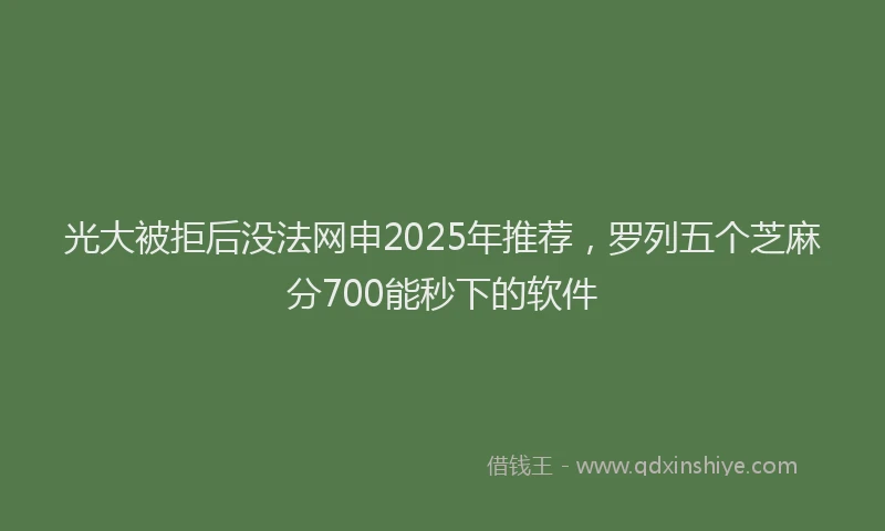 光大被拒后没法网申2025年推荐，罗列五个芝麻分700能秒下的软件