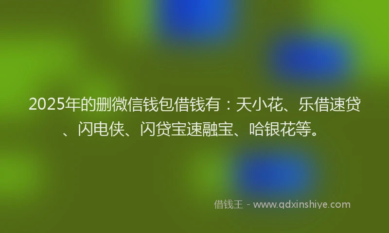 2025年的删微信钱包借钱有：天小花、乐借速贷、闪电侠、闪贷宝速融宝、哈银花等。