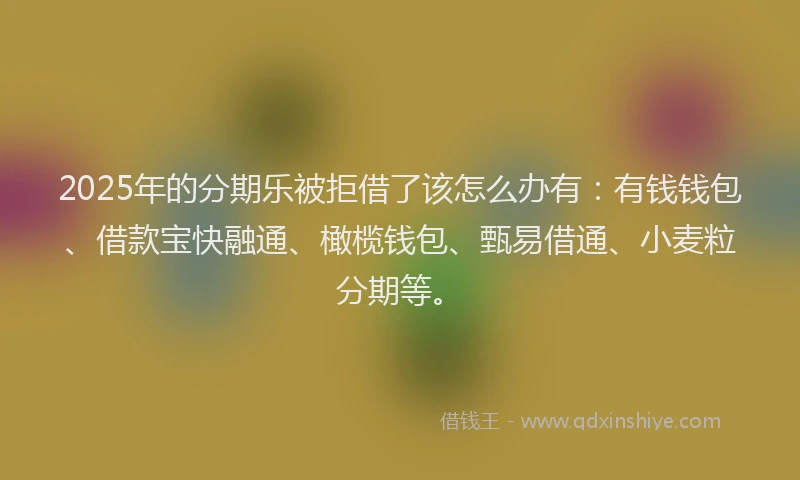 2025年的分期乐被拒借了该怎么办有：有钱钱包、借款宝快融通、橄榄钱包、甄易借通、小麦粒分期等。