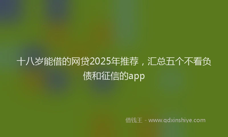 十八岁能借的网贷2025年推荐，汇总五个不看负债和征信的app