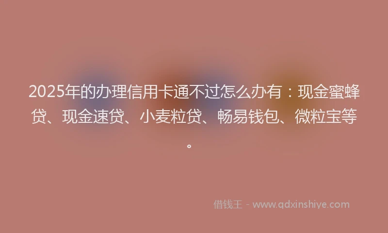 2025年的办理信用卡通不过怎么办有：现金蜜蜂贷、现金速贷、小麦粒贷、畅易钱包、微粒宝等。