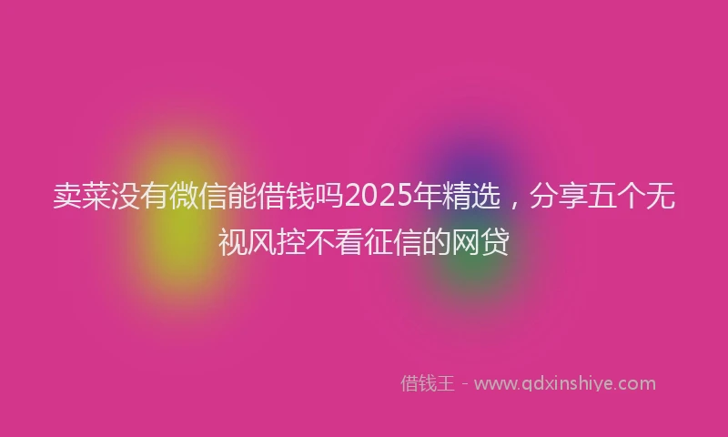 卖菜没有微信能借钱吗2025年精选，分享五个无视风控不看征信的网贷