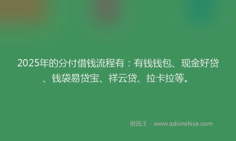 2025年的分付借钱流程有：有钱钱包、现金好贷、钱袋易贷宝、祥云贷、拉卡拉等。