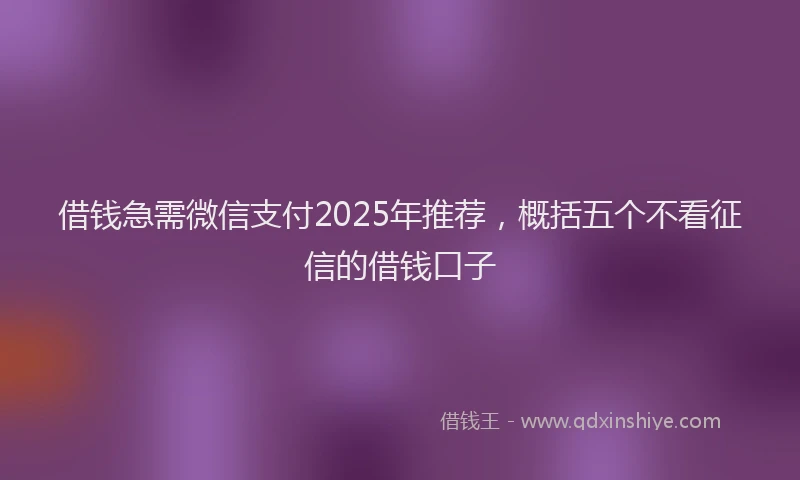 借钱急需微信支付2025年推荐，概括五个不看征信的借钱口子