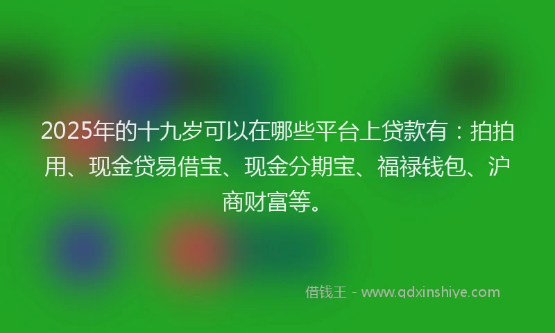 2025年的十九岁可以在哪些平台上贷款有：拍拍用、现金贷易借宝、现金分期宝、福禄钱包、沪商财富等。
