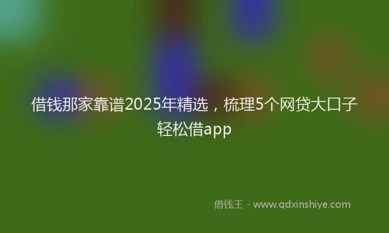 借钱那家靠谱2025年精选，梳理5个网贷大口子轻松借app