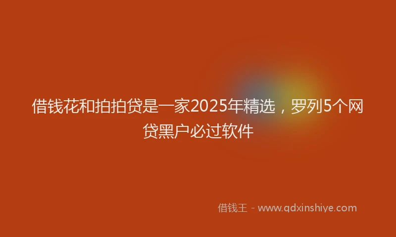 借钱花和拍拍贷是一家2025年精选，罗列5个网贷黑户必过软件