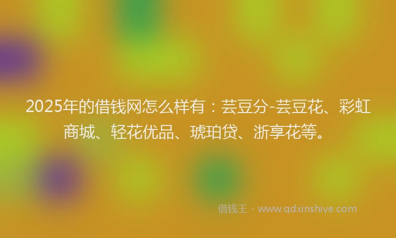 2025年的借钱网怎么样有：芸豆分-芸豆花、彩虹商城、轻花优品、琥珀贷、浙享花等。