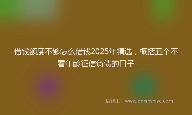 借钱额度不够怎么借钱2025年精选，概括五个不看年龄征信负债的口子