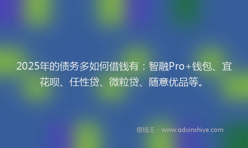 2025年的债务多如何借钱有：智融Pro+钱包、宜花呗、任性贷、微粒贷、随意优品等。