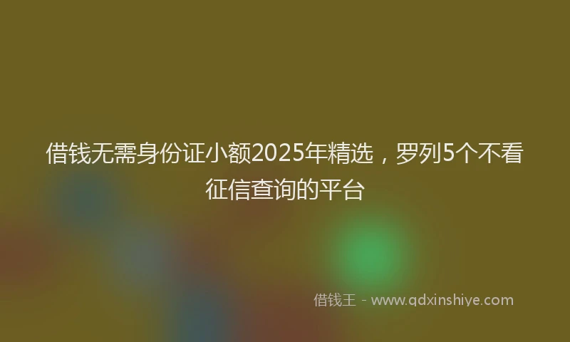 借钱无需身份证小额2025年精选，罗列5个不看征信查询的平台
